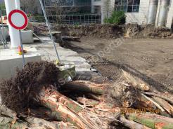 D&ouml;ppersberg aktuell