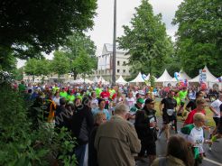 Schwebebahnlauf 2017