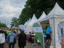 Schwebebahnlauf 2017