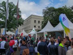 Schwebebahnlauf 2017