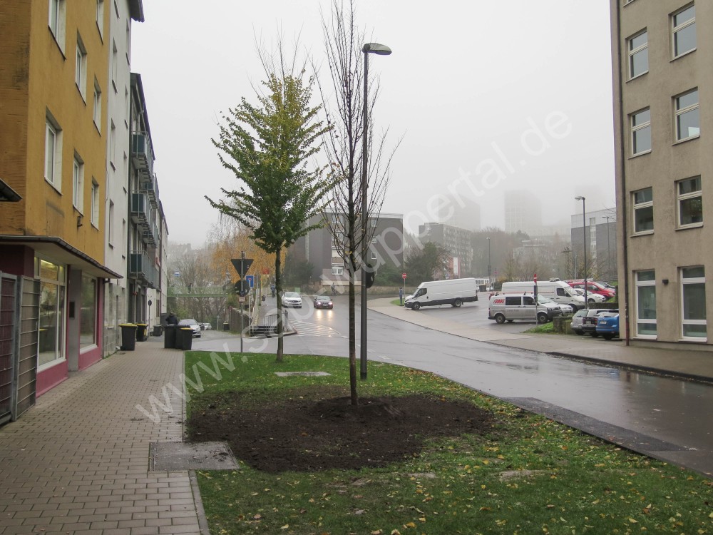 D&ouml;pps aktuell