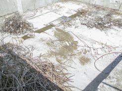 Döppersberg aktuell