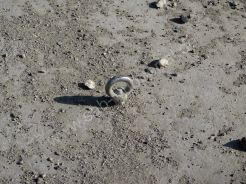 Döppersberg aktuell