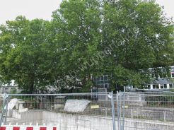 Döppersberg aktuell