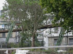 Döppersberg aktuell