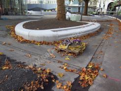 Döppersberg aktuell