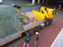 Döppersberg aktuell