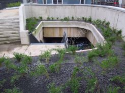 Döppersberg aktuell